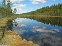 Valkealampi